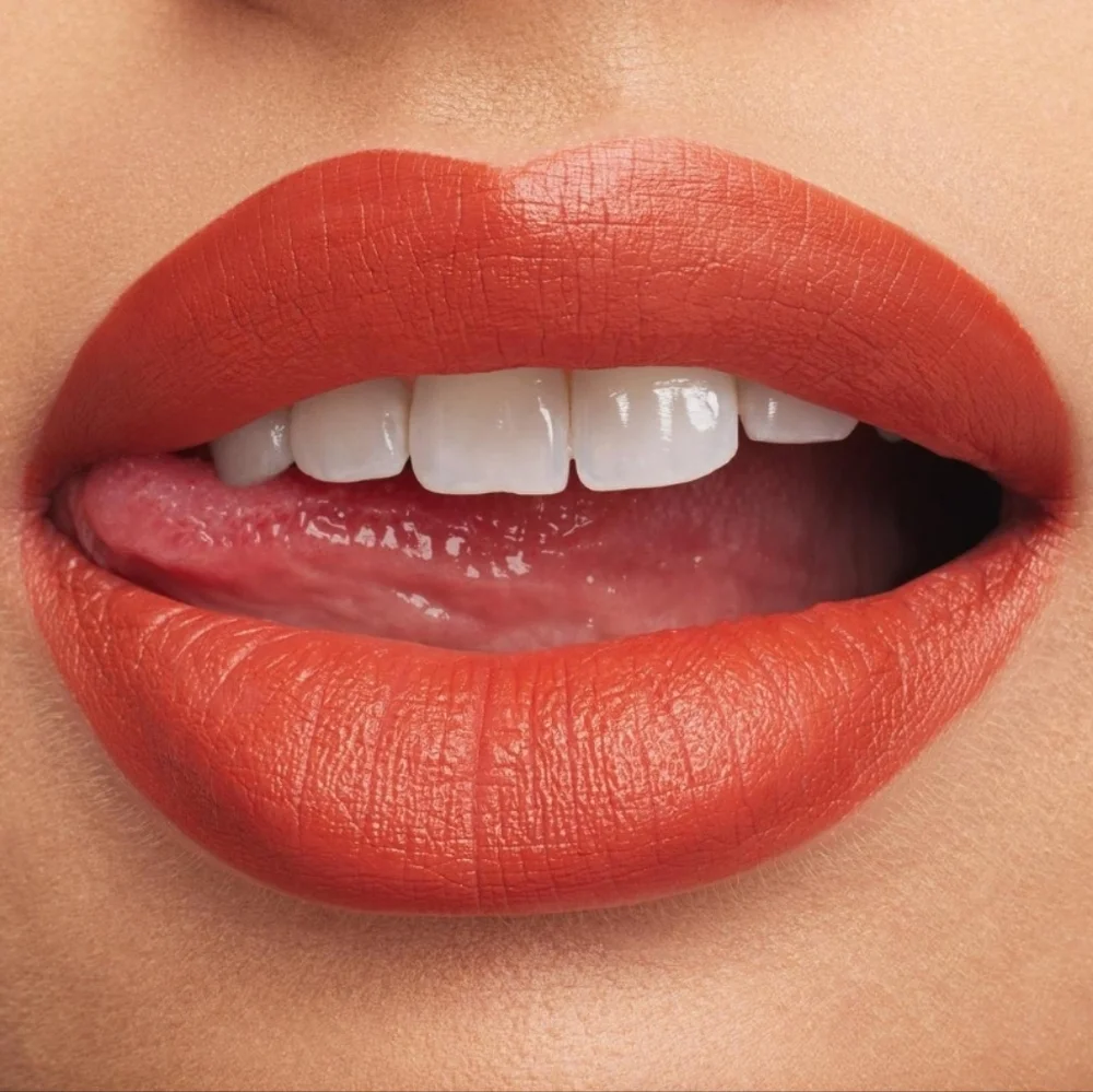 Macximal Silky Matte Lipstick Sugar Dada Brown Orange Red Brand New in Box